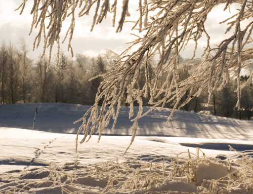 Winterpause beim AWGC!